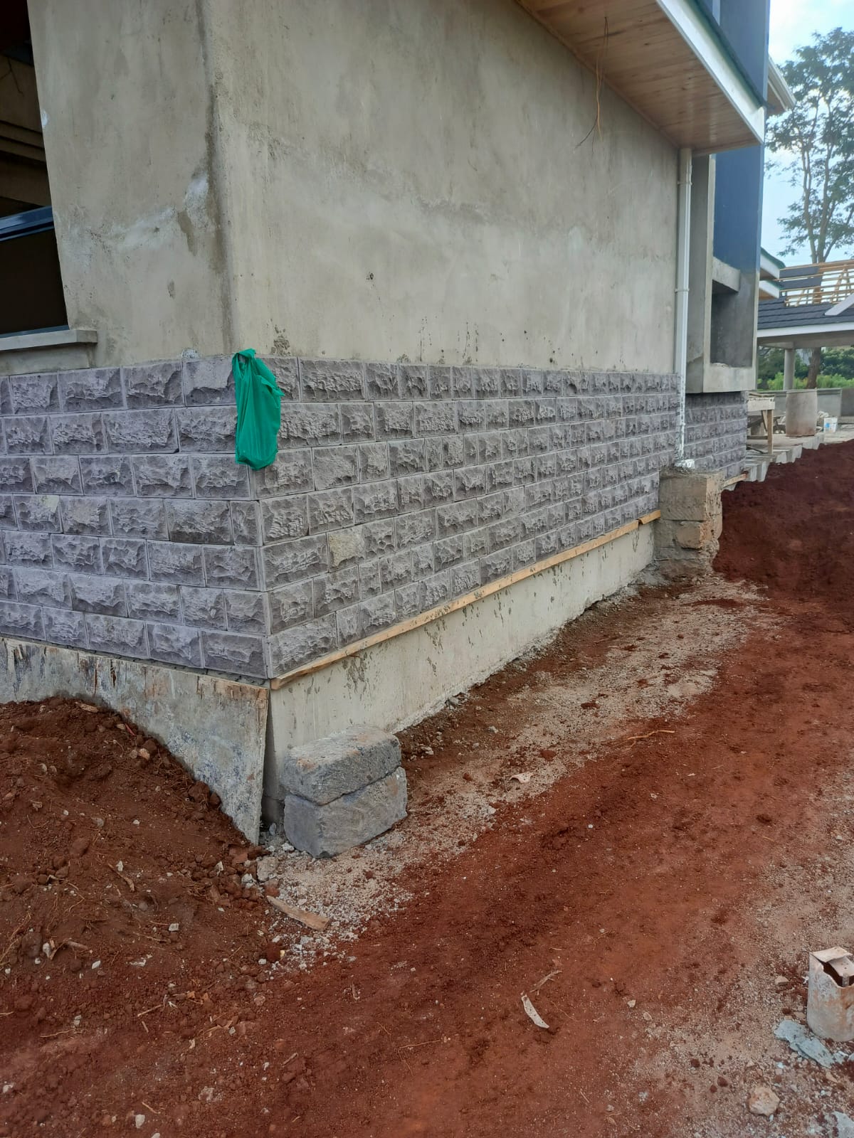 blue stone bush - Image 7