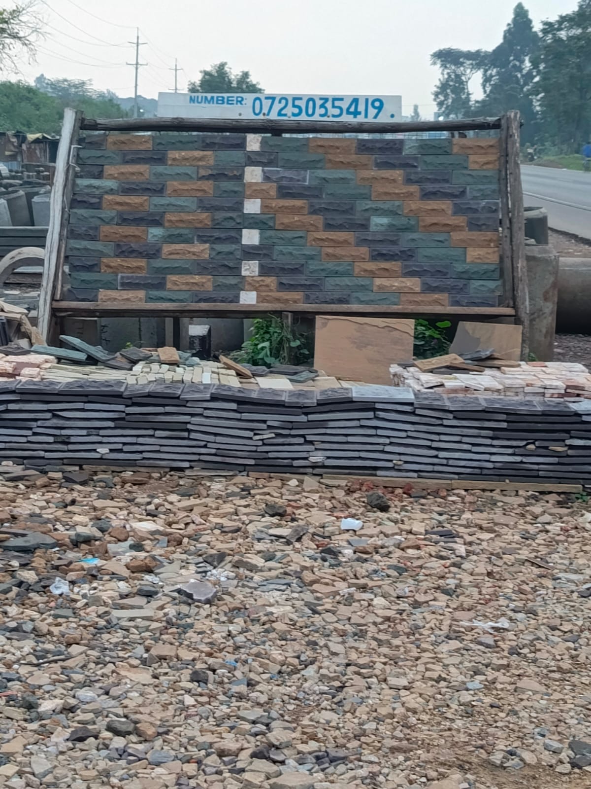 blue stone bush - Image 8